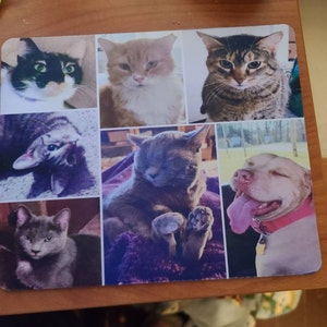 Stephanie added a photo of their purchase