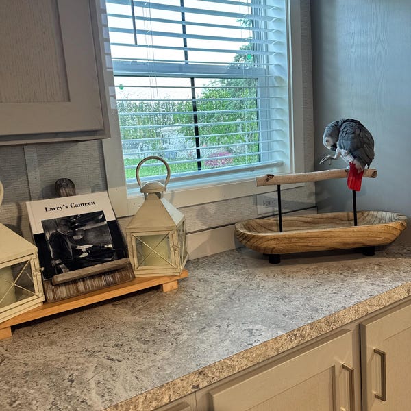 Picture of Textured Wooden Parrot Stand • Modern Parrot Stand • Tabletop Parrot ...