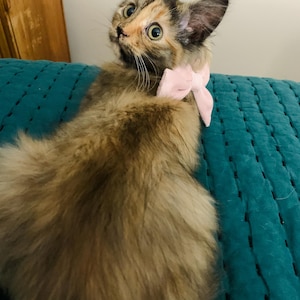 Elise added a photo of their purchase