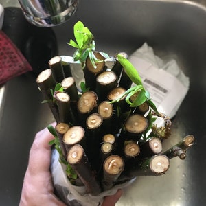 William ha añadido una foto de su compra