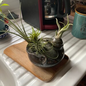 Kathleen added a photo of their purchase