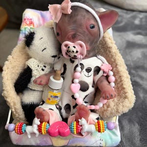 Amy added a photo of their purchase