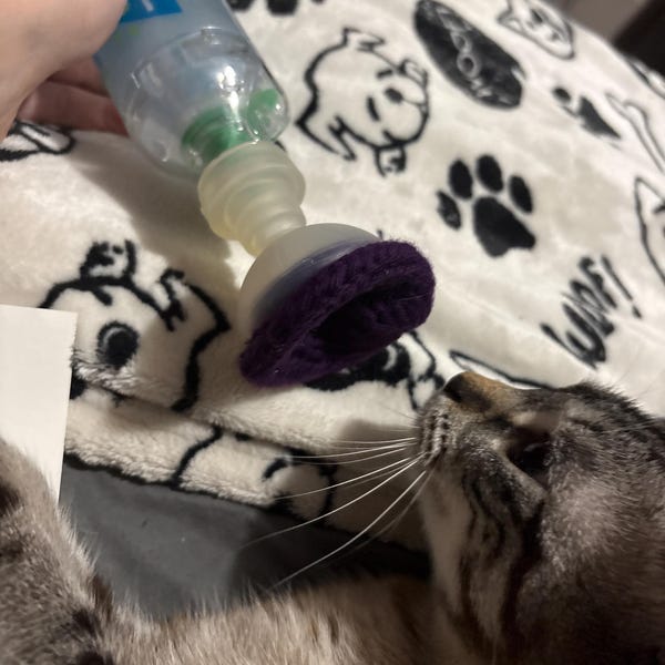 Kassi Cork Small Aerokat Feline Asthma Inhaler KNIT COVER: Purple - Etsy