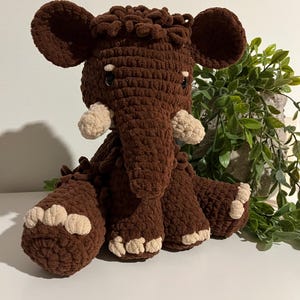 Jennifer added a photo of their purchase