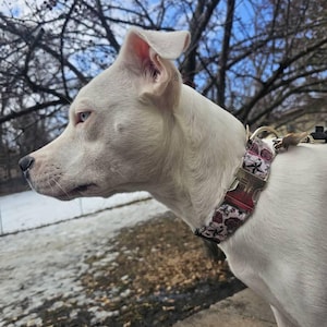 Melissa added a photo of their purchase