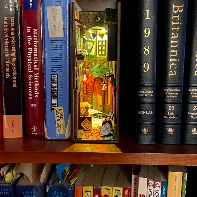 MINI ALLEY Medieval Assembled Booknook Premade Bookshelf Insert Bookshelf  Alley® Book Nook Personalized Gift -  Hong Kong