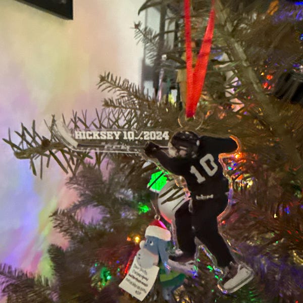 Horse Care Knowledge Poster Horse Anatomy Poster Horse Knowledge