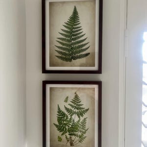 Sarah added a photo of their purchase