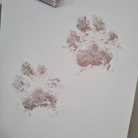 Inkless Pet Paw Print Kit Get High-quality Paw Prints With Zero Ink Non ...