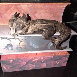 Carola heeft een foto van zijn/haar aankoop toegevoegd