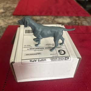 Cindi added a photo of their purchase