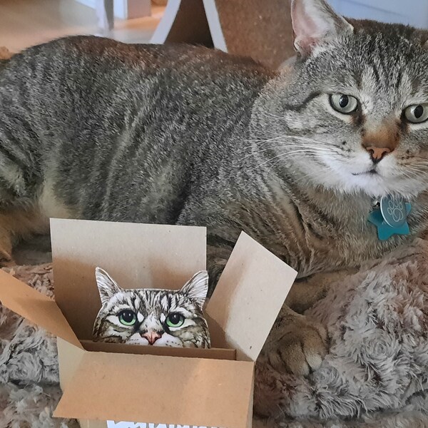 Tabby Cat Birthday Card; the Original Cat in a Box Card. 3D Gift Card ...