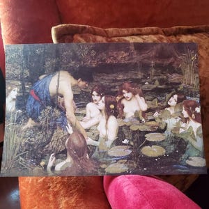Elliooot added a photo of their purchase