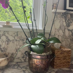 Aimee added a photo of their purchase