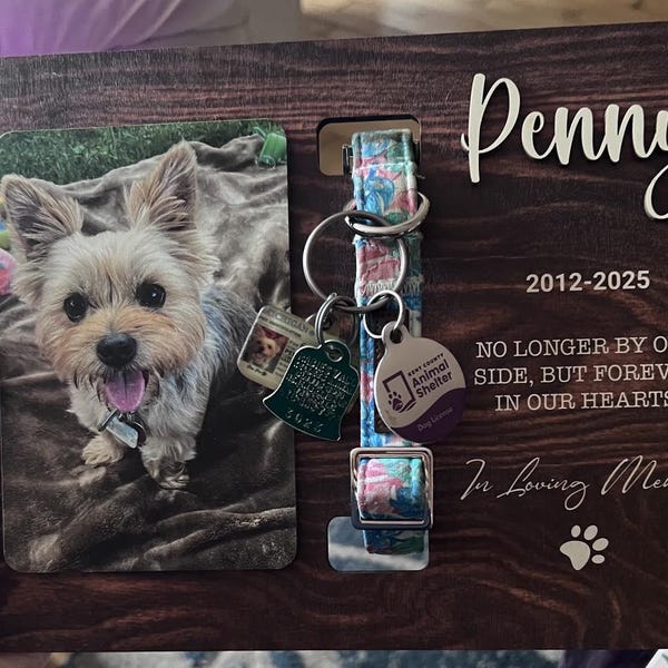 Memorial Pet Collar Sign, Dog Memorial Wood Frame With Collar Holder ...
