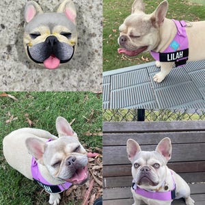 Denise added a photo of their purchase