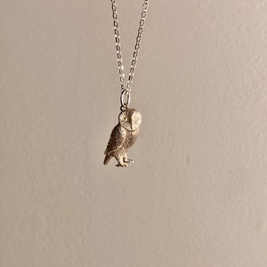 Noel added a photo of their purchase