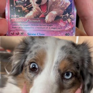 Alisha ha añadido una foto de su compra