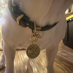 Megan ha añadido una foto de su compra