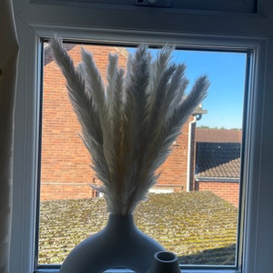 Deborah added a photo of their purchase