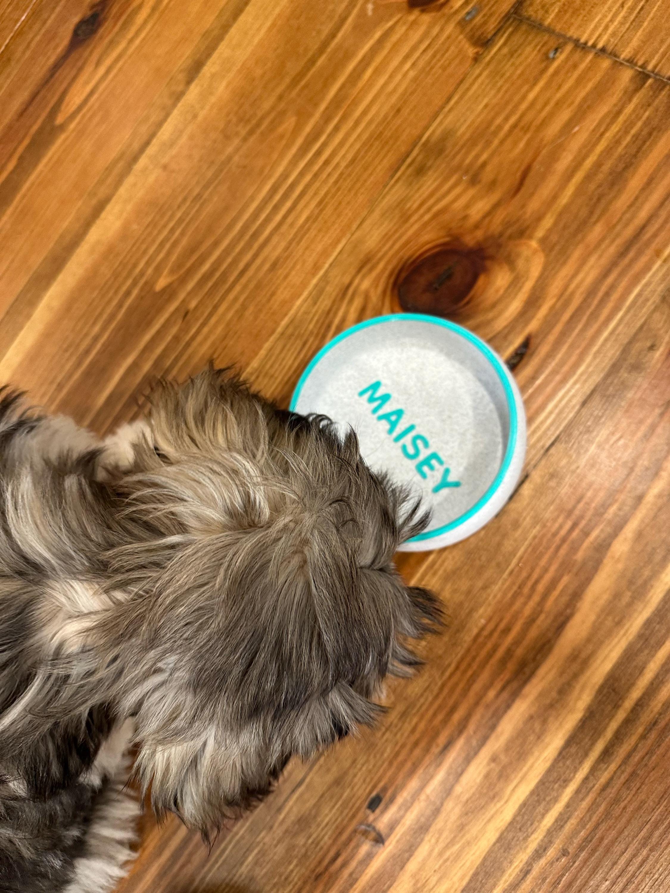 Personalized Dog Bowl with Name