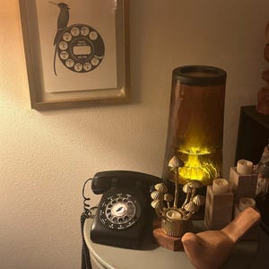 Gina dodał(a) zdjęcie swoich zakupów