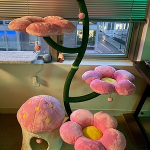Liz added a photo of their purchase