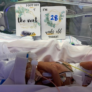 Angela hat ein Foto des gekauften Artikels hinzugefügt