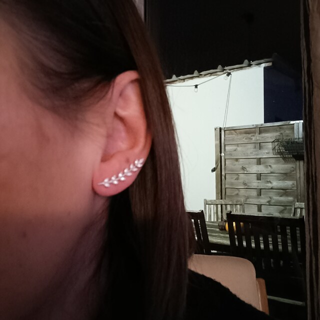 Stella dot ear climbers sale