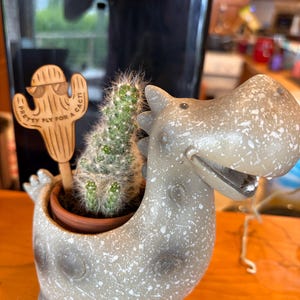 Rebekah added a photo of their purchase