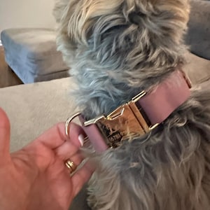 Sharon hat ein Foto des gekauften Artikels hinzugefügt