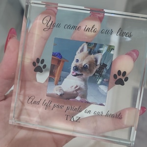 Equechie added a photo of their purchase