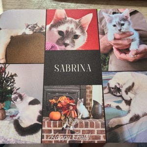 Tina added a photo of their purchase