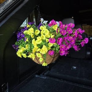 Jess added a photo of their purchase