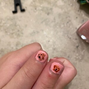 Holly added a photo of their purchase