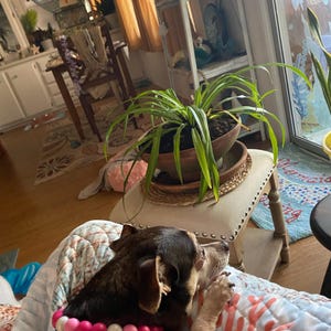 Alysa added a photo of their purchase