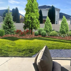 Jenny added a photo of their purchase