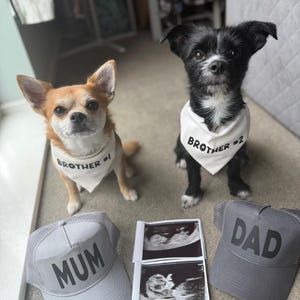 Katie added a photo of their purchase