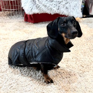 Kreativ added a photo of their purchase