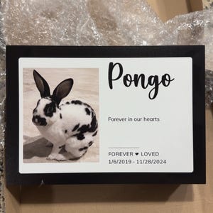 Michael added a photo of their purchase