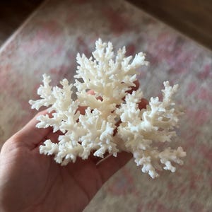 PSYCHAIC ha añadido una foto de su compra