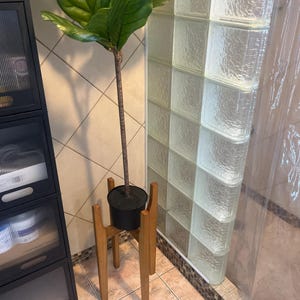 Ashley added a photo of their purchase