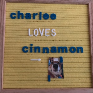 Charlee added a photo of their purchase