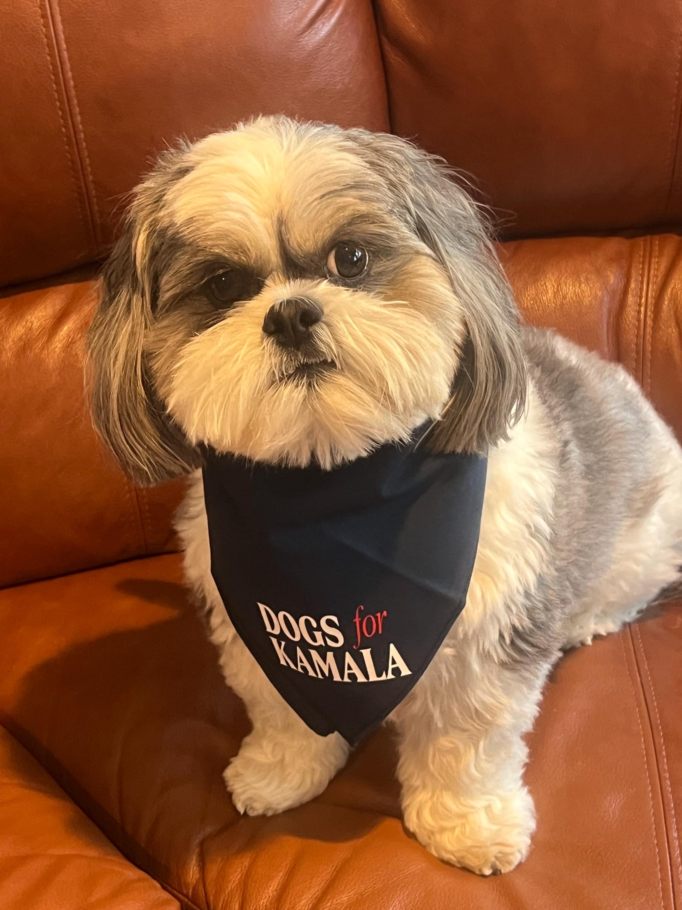Dogs For Kamala Tie-On Dog Bandana | kamala dog bandana | dog mom for kamala | kamala dog clothes | kamala dog shirt | kamala for president