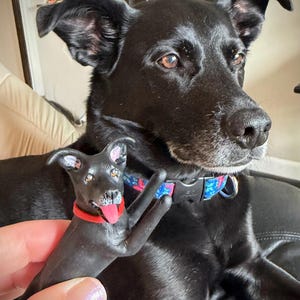 Shawna added a photo of their purchase