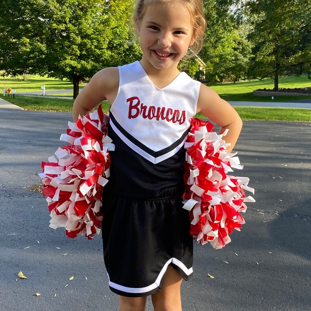 Cheerleader Spirit Pom , Girls Cheer Pom Poms, School Spirit, Pom Poms,  Custom Design Tees, Girls Cheer Poms, School Spirit Poms 