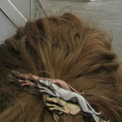 View of GAPNSW - 9 Questions on How to Groom Your Greyhound