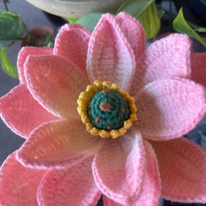 完成したかぎ針編みの蓮の花束。ピンクの蓮の花と種子鞘。かぎ針編みの