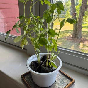 Mary added a photo of their purchase