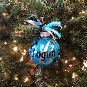 Michigan State University Christmas Ornaments Graduation 2022 Senior 2022 Graduation Ornaments Graduation Gift For Her | Etsy